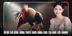Cược Gà Đòn: Hình Thức Chơi Đỉnh Cao Tại Nhà Cái 8LIVE