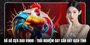 Đá Gà Cựa Dao 8LIVE – Trải Nghiệm Gay Cấn Đầy Kịch Tính