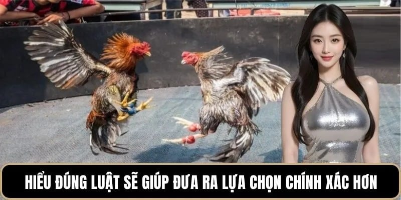 Hiểu đúng luật sẽ giúp đưa ra lựa chọn chính xác hơn