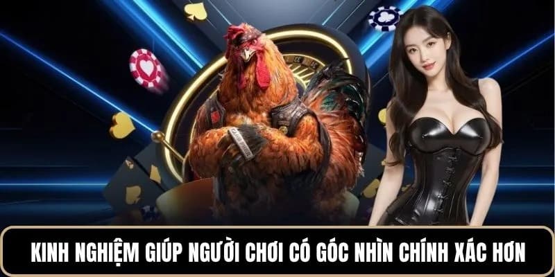 Hướng dẫn tham gia đá gà cựa dao chi tiết rõ ràng