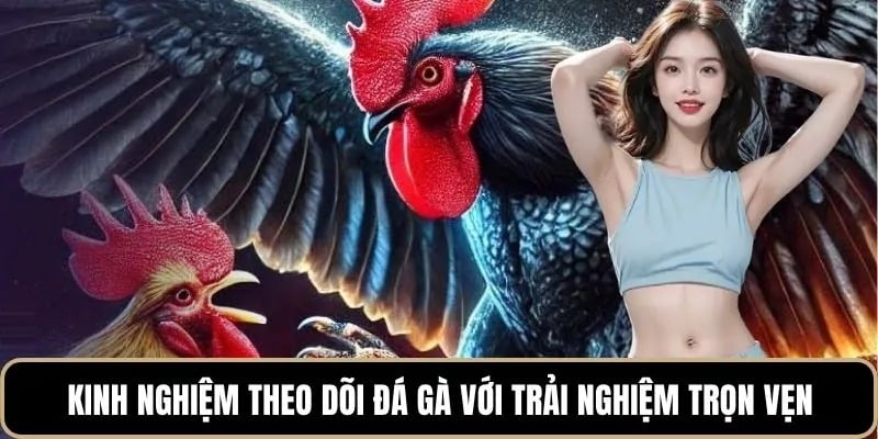 Kinh nghiệm giúp người chơi có góc nhìn chính xác hơn